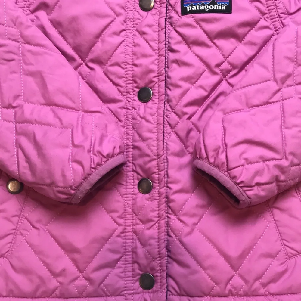 Patagonia Reversible Jacket (size 2T)